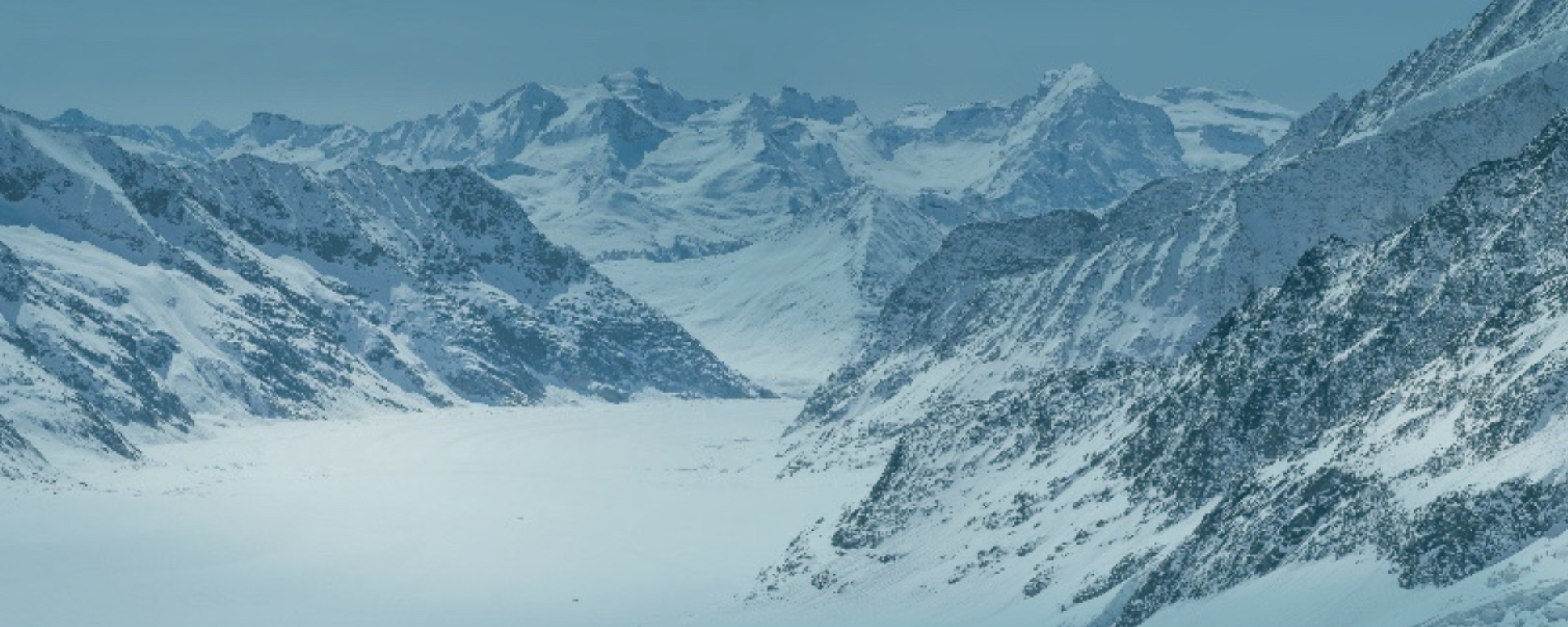 Proleski Simulador esqui y snowboard